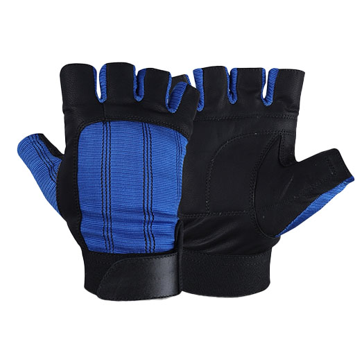 Gym Gloves