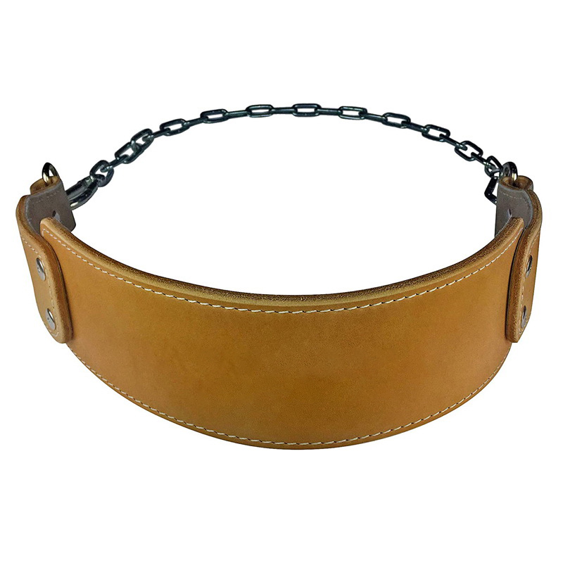 Dipping Belts